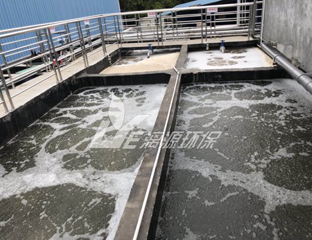 污水處理中的菌種有哪些，起什么作用