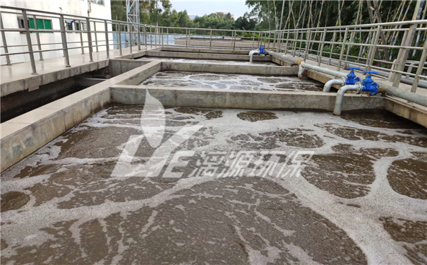 骨類(lèi)調(diào)味料加工廢水處理技術(shù)